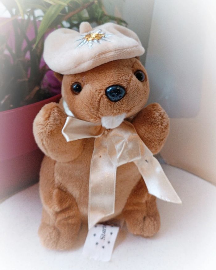 Startoy peluche doudou plush nounours Teddy marmotte Berret chapeau suisse edelweiss fleur flower