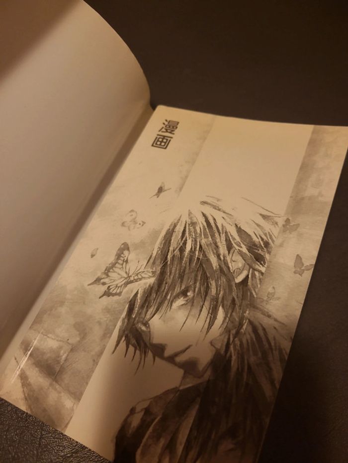 Un milliōn de lācrimas(version espagnol) - photo numéro 4