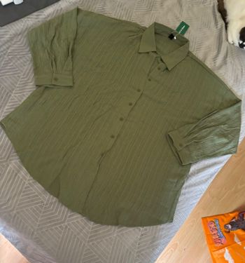 Chemise vertes