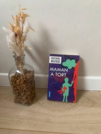 • Livre « Maman à tort » de Michel Bussi