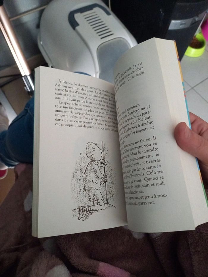Sacrée sorcière - photo numéro 3