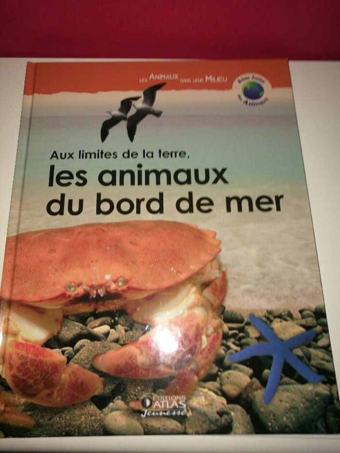 Livre Les animaux du bord de mer