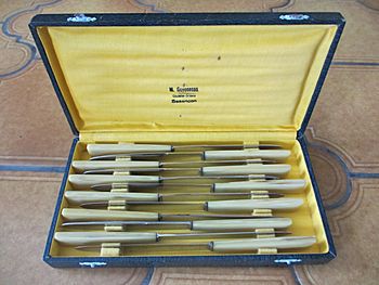 Coffret 12 couteaux Guyonneau Besançon