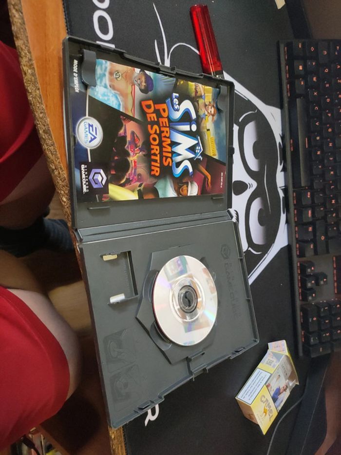 Sims permis de sortir - photo numéro 3