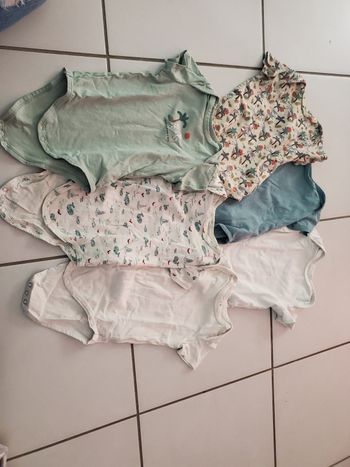 Lot de 6 bodies manche courte