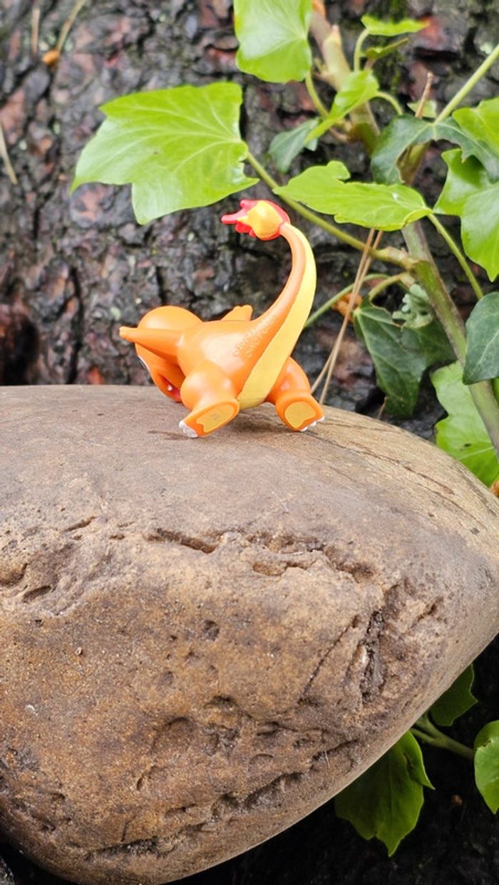 Super figurine Pokemon Nintendo Salameche - photo numéro 5