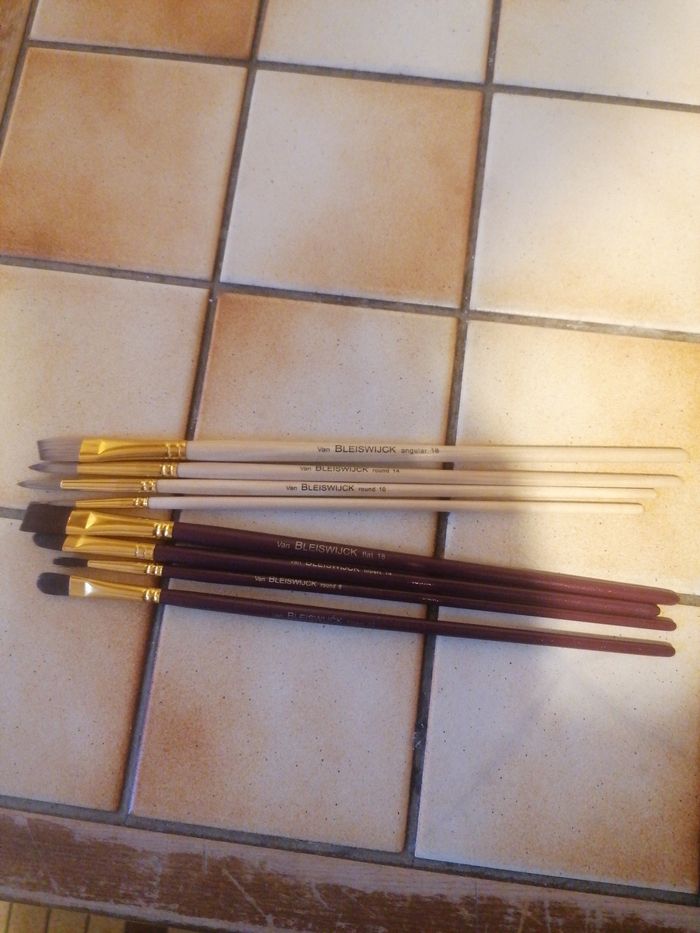 Lot pinceaux bleiswijck