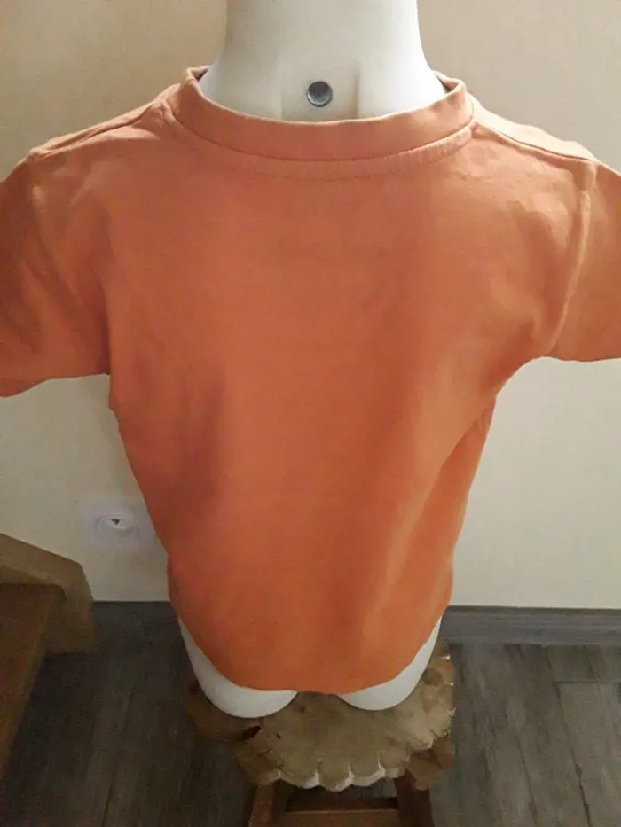 Tee-shirt manches courtes 6 ans  (114 cm) - photo numéro 5