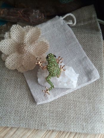 Broche grenouille verte
