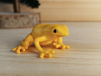 Safari Grenouille jaune Figurine Animal de la mare