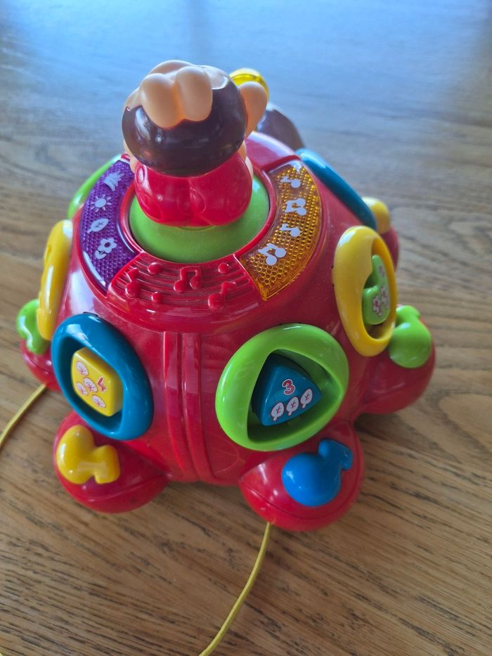 Coccinelle des formes Vetch - photo numéro 3