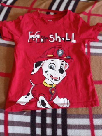 Tee shirt pat patrouille 3 ans