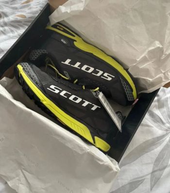 Chaussure SCOTT homme