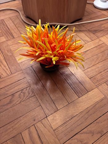 Plante artificielle aquarium