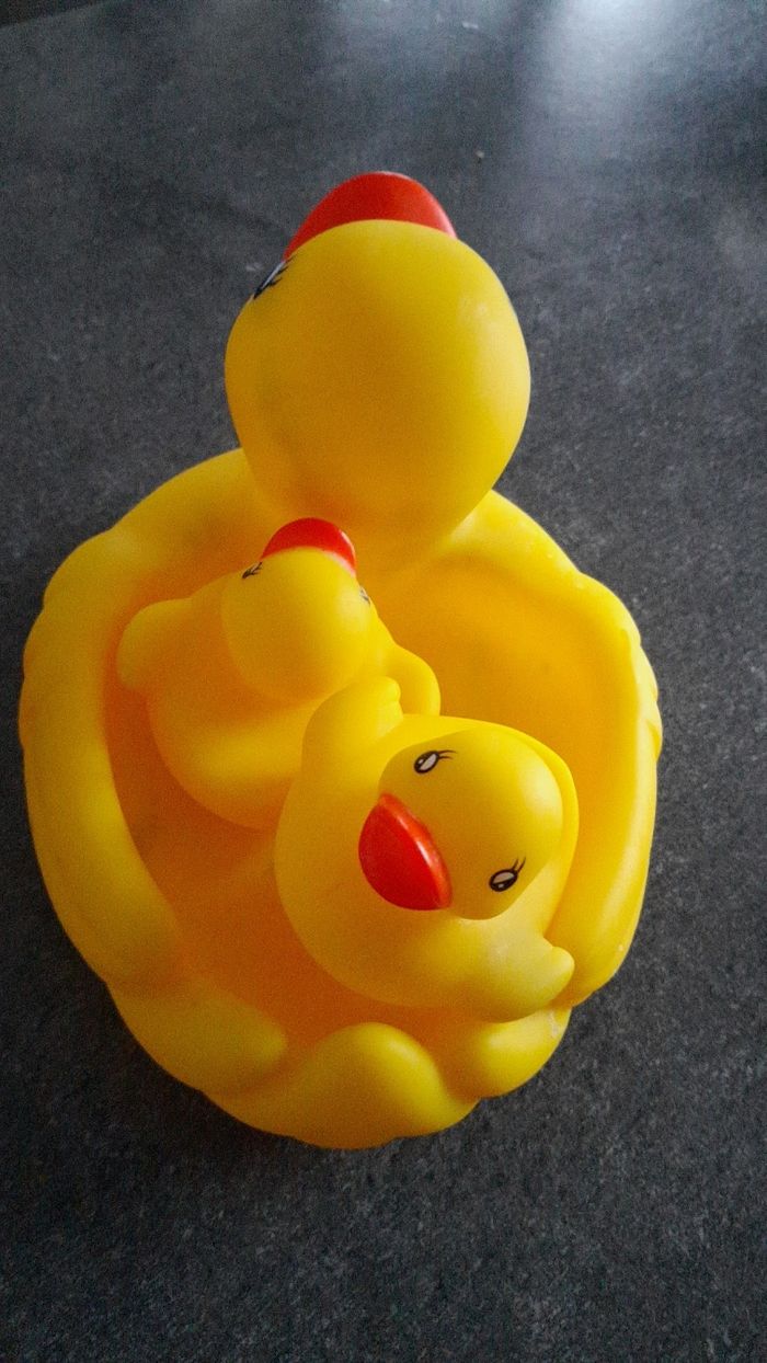 Canards - photo numéro 2