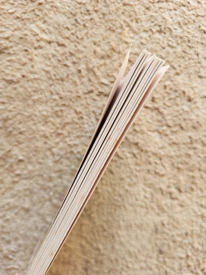 Livre Le merveilleux voyage de Nils Holgersson à travers La Suède de Selma Lagerlöf - Castor Poche - photo numéro 3