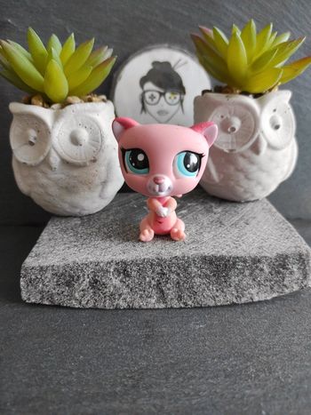 Littlest Petshop LPS Pet Shop Opossum Possum 1625 #geektradelpsopossum