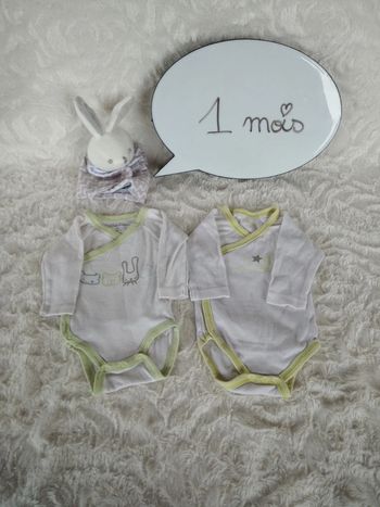 Lot de 2 bodies manches longues Mixte 1 mois Animaux et Star Kitchoun 100% coton