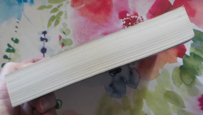 Bloody Mairie de Jean-Paul Birrien Ed. Liv'Poche Suspense - photo numéro 4