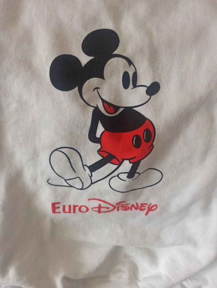 Sweat eurodisney - photo numéro 2