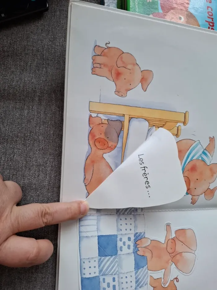 Livre "Cache-cache cochons" - photo numéro 4