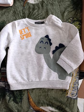 Pull dinosaure