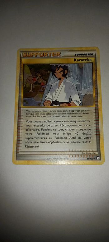 Carte pokémon supporter karatéka