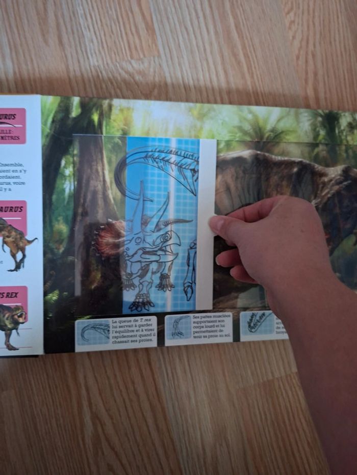 Livre dinosaures - photo numéro 5