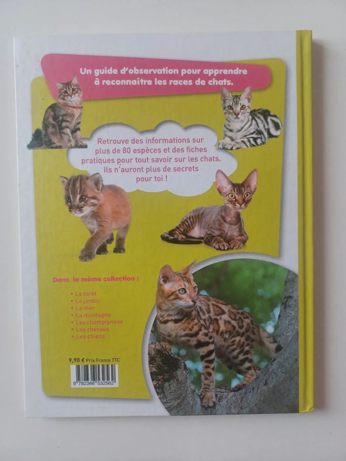 Les Chats - photo numéro 2