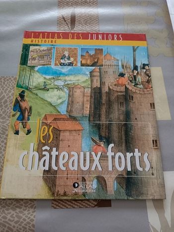 Livre les châteaux forts