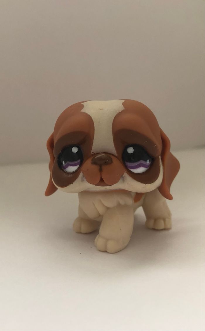 Pet shop : chien saint Bernard - photo numéro 2
