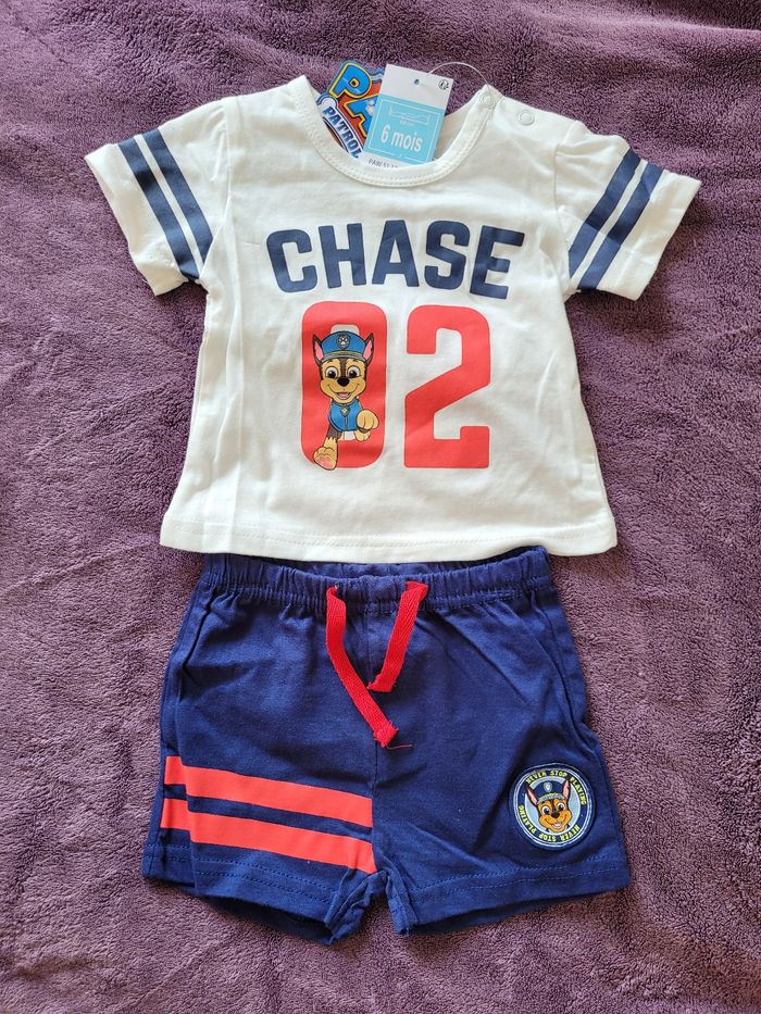 Ensemble paw patrol