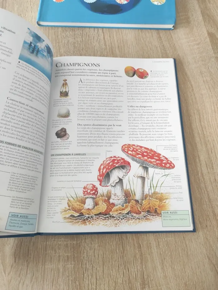 Encyclopédie junior livre découverte - photo numéro 7