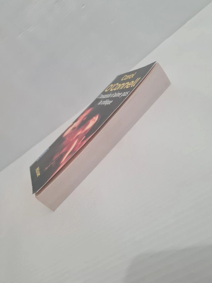 Livre thriller "L'assassin n'aime pas la critique" de Carol O'Connell - photo numéro 5