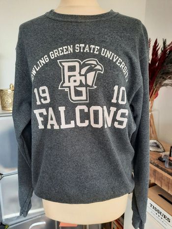 Sweat vintage Jerzees 36 falcons