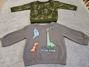 Lot 2 pulls dinosaure 80cm