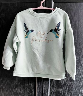 Pull vert d'eau oiseaux Orchestra taille 4ans