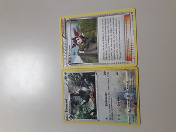 Etourvol + Ninja Amateur lot de 2 cartes Pokémon neuves