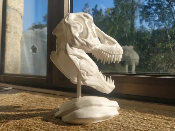 Crâne de T-Rex tyrannosaure Jurassic park - photo numéro 7