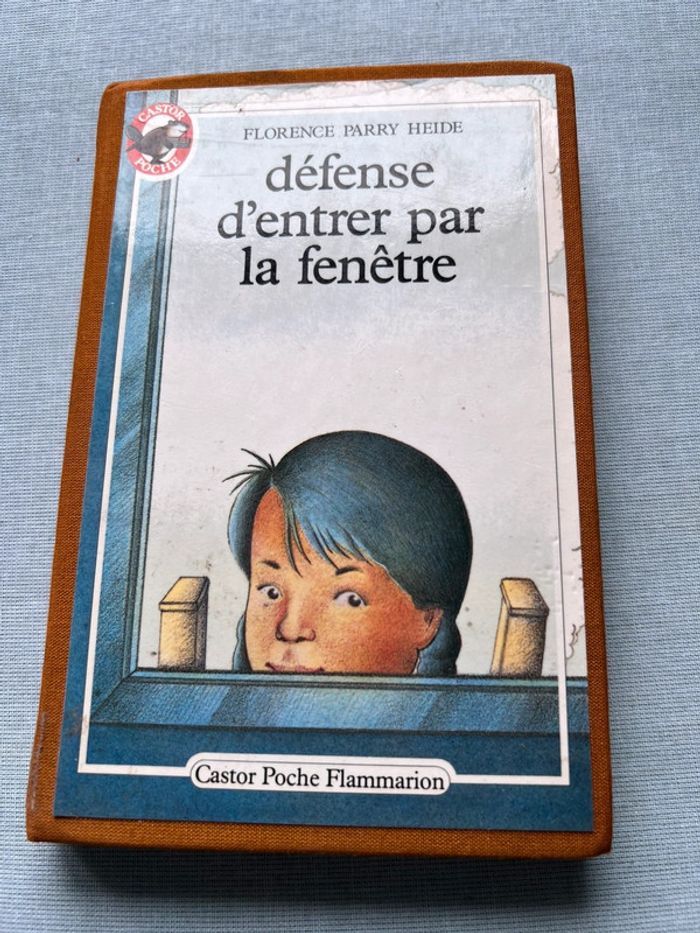 Défense d’entrer par la fenêtre - Florence parry heide