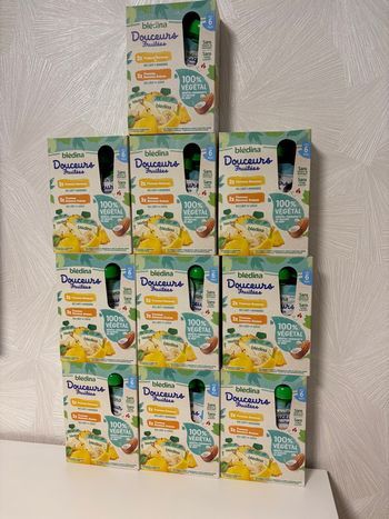 Lot de 10 boîtes de 4 gourdes végétales bledina
