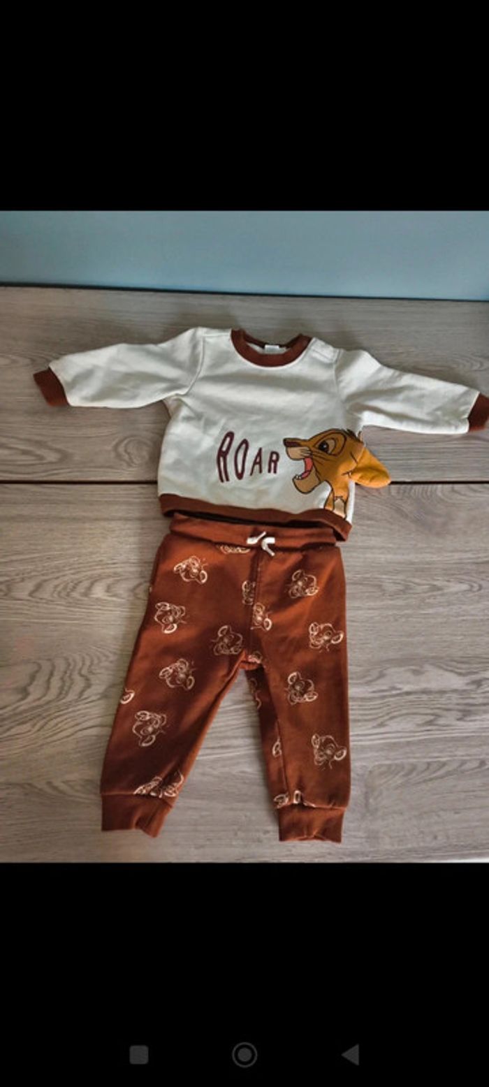 Ensemble Roi lion