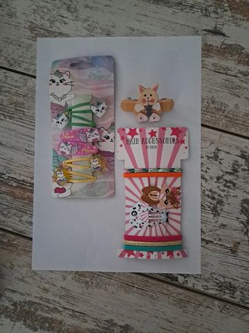 Barrettes & chouchou chat