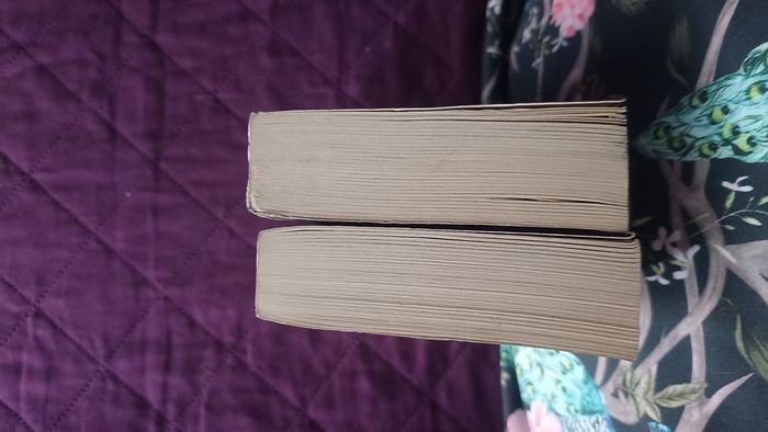 Livres Vampire story Tome 1 et 2 de David Wellington - photo numéro 3