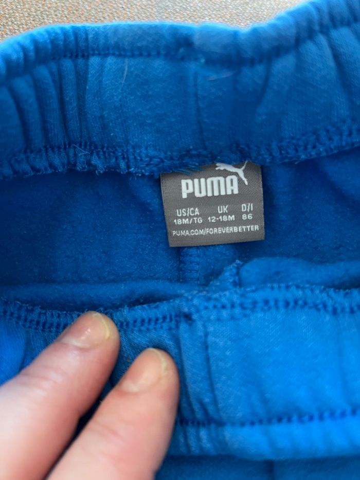 Ensemble jogging - photo numéro 3