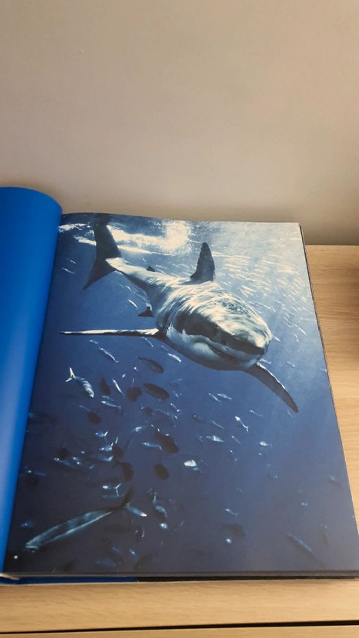 Livre Requins Michel Muller Taschen - photo numéro 3