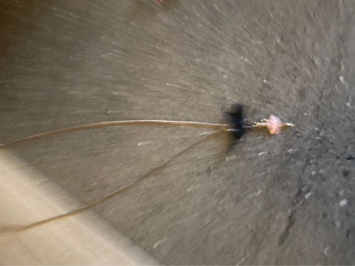 Collier Zara chaussures en très bon état, collection vintage - photo numéro 6