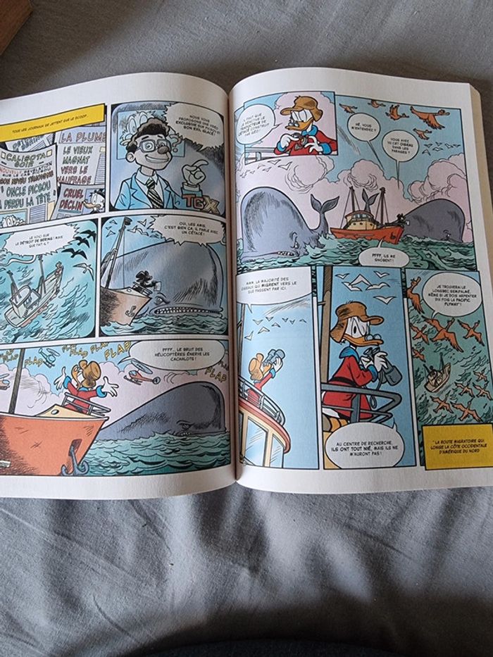 Lot 3 picsou - photo numéro 11