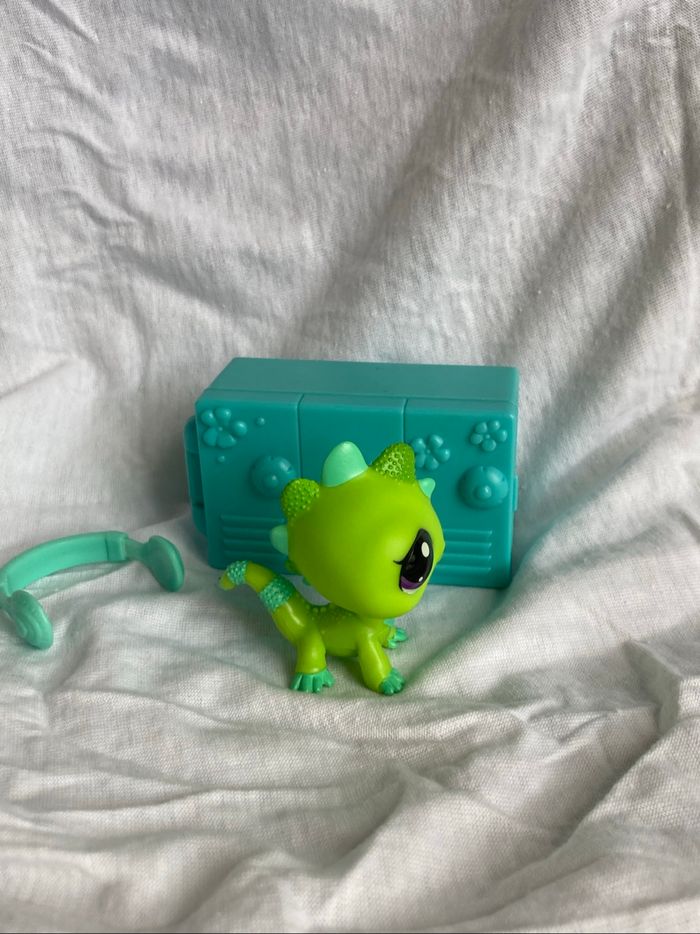 lps iguane - photo numéro 2