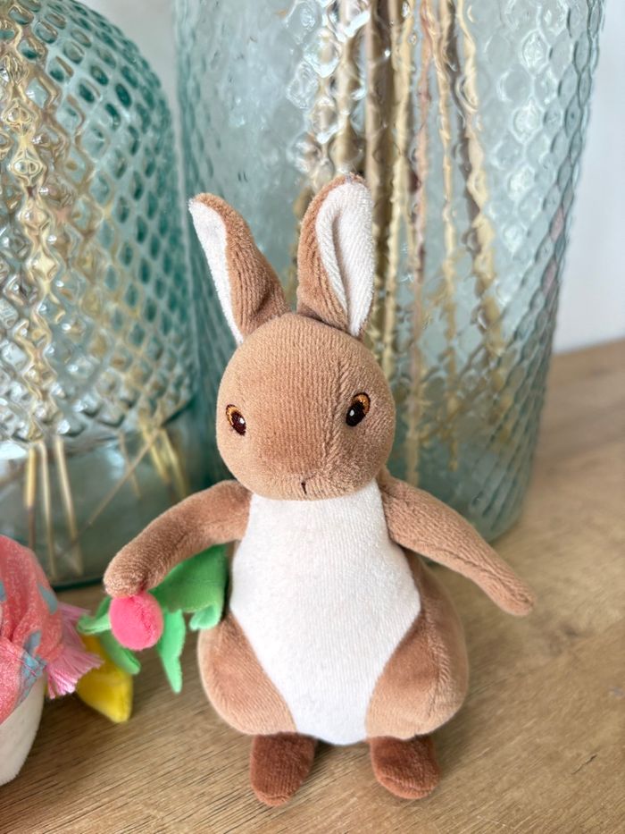Peter rabbit et Sophie canetang - photo numéro 2